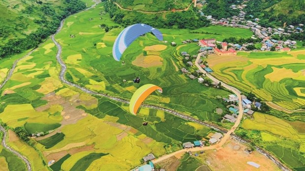Paragliders enjoy spectacular flights over Mu Cang Chai terraced fields hinh anh 1