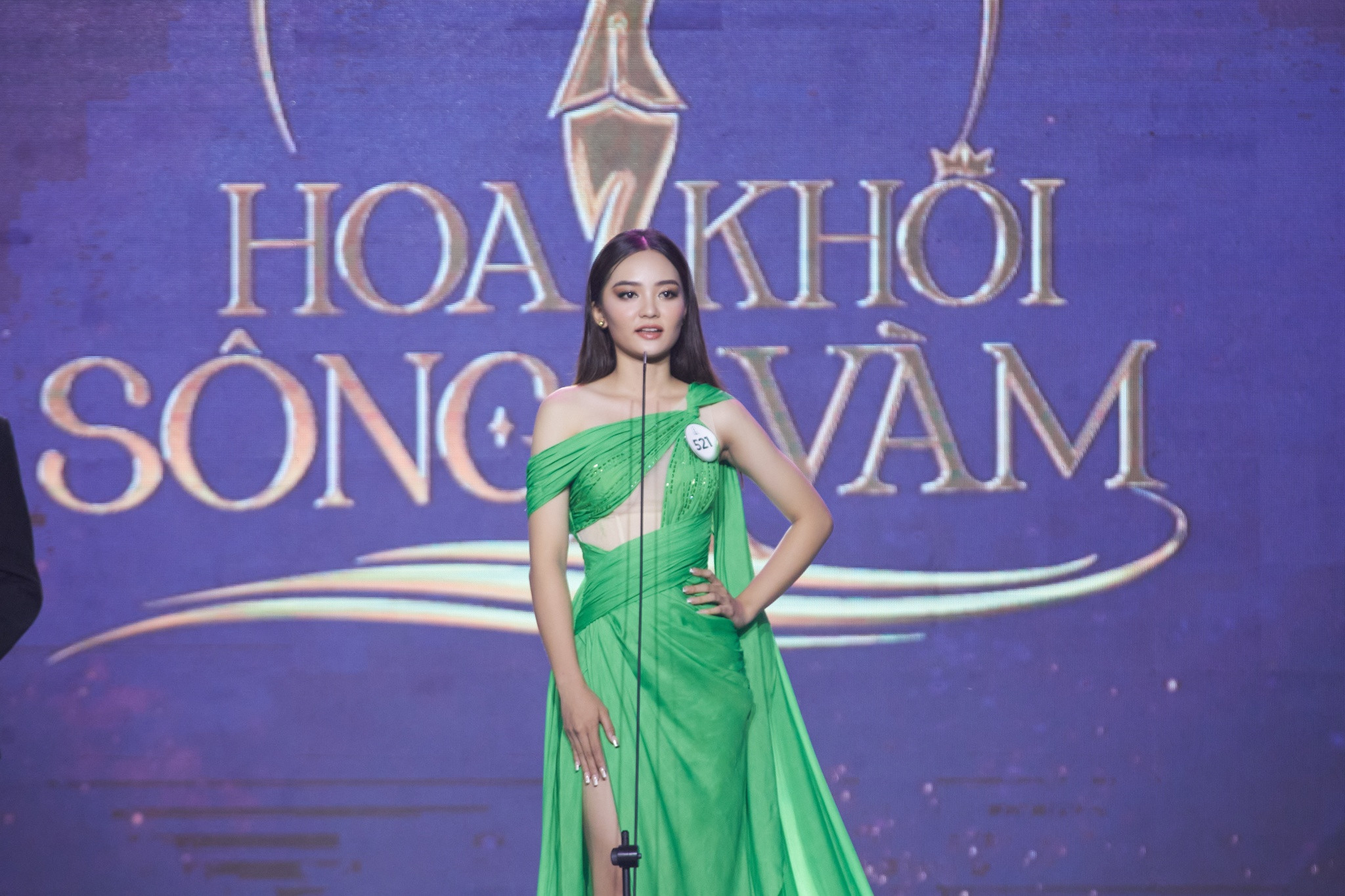 hoa khoi song vam anh 9