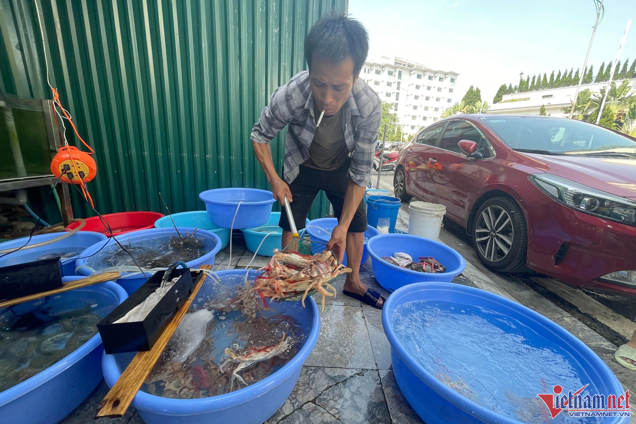 Khách đông nườm nượp, nhân viên nhà hàng mỏi tay bắt hải sản
