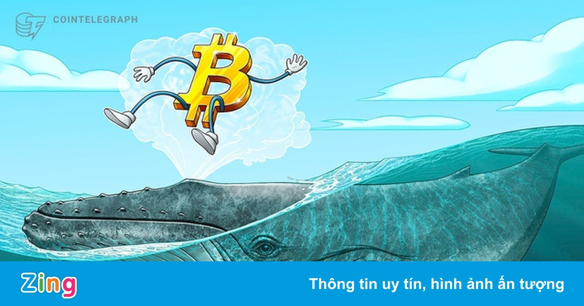 Một cá voi giữ 10.000 BTC vừa 'thức giấc' sau 9 năm