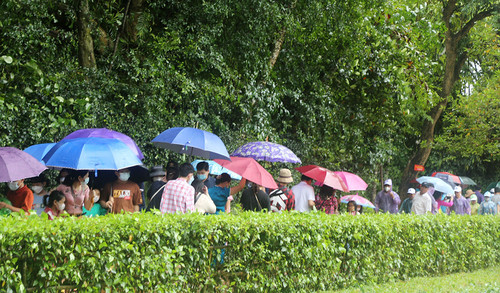 Hàng nghìn du khách đội mưa về thăm quê Bác