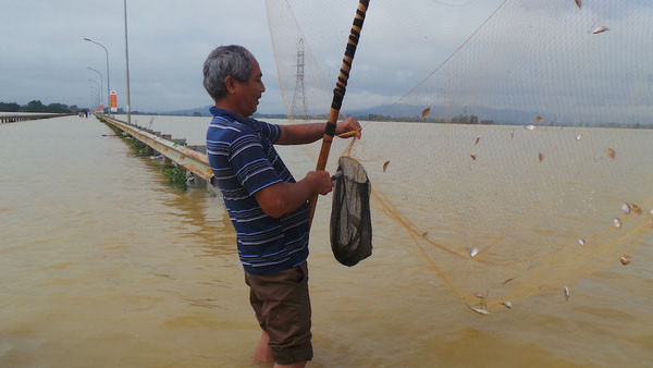 Ngoại thành Hà Nội ngập nặng, đường tỉnh lộ thành nơi... đánh cá