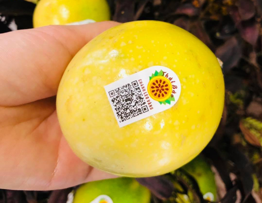 Chanh leo ngọt 'đắt khét', dân buôn cũng phải xếp hàng chờ mua