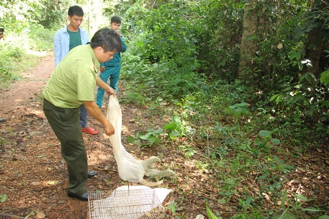 Đẩy mạnh truyền thông về công tác xử lý tội phạm về động vật hoang dã tại Việt Nam