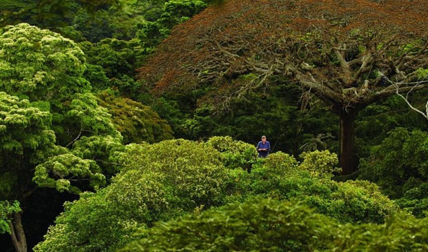 First nature film festival in Vietnam to take place this month