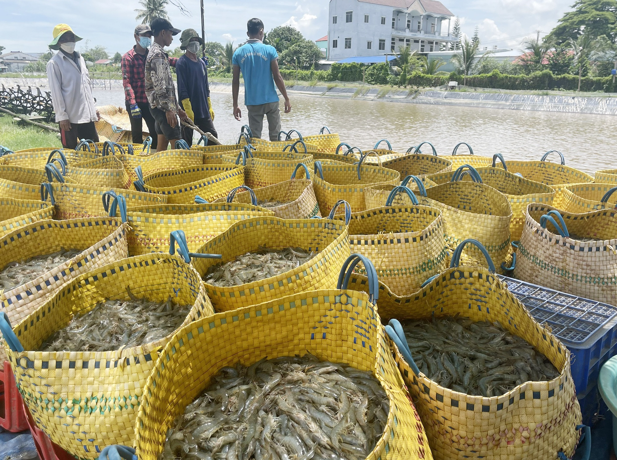 Gia tom tang ky luc anh 1