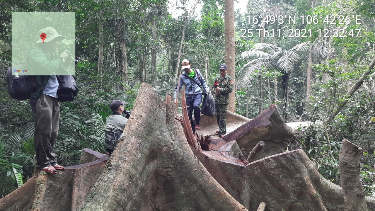 Giám đốc Khu bảo tồn bị kỷ luật vì để xảy ra phá rừng quy mô lớn