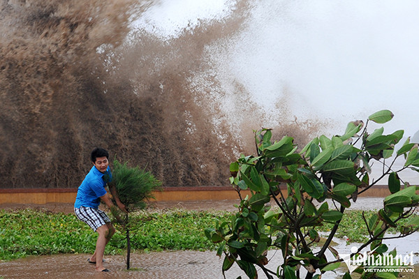 Biển Đông có thể đón bão vào đầu tuần tới