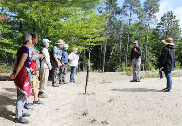 Vietnamese scientist helps revive Ottawa sand dunes