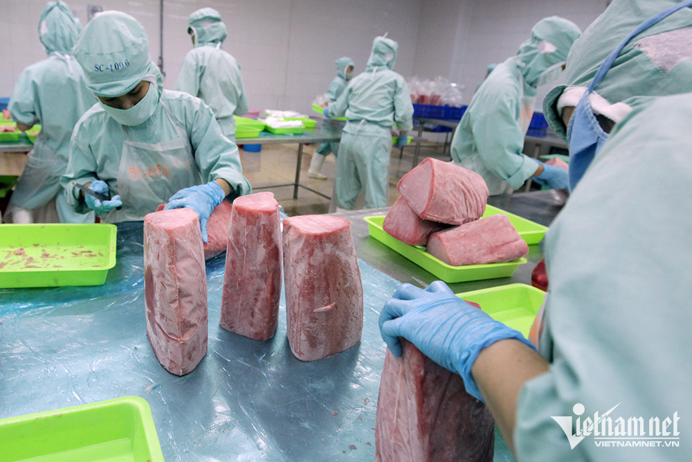 Mỹ chi 19 tỷ USD mua tôm cá, Việt Nam thành nhà cung cấp lớn thứ 2