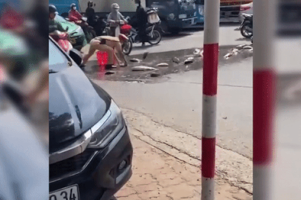 Tạ cá đổ giữa ngã tư Hà Nội, CSGT vội cầm sọt nhặt giúp người dân
