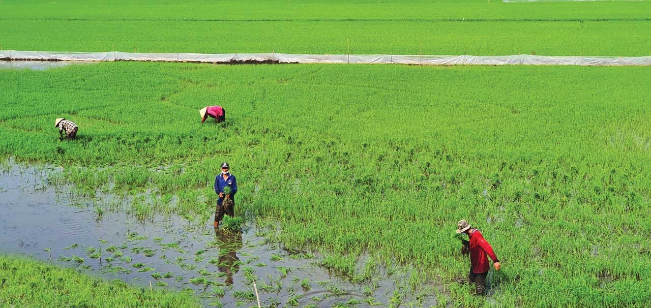 VIETNAM NEWS HEADLINES SEPTEMBER 23