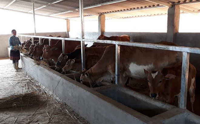 Điểm tựa giúp đồng bào DTTS vươn lên thoát nghèo