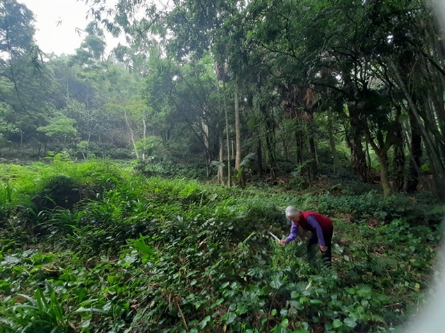 Farmers save wild birds and the environment