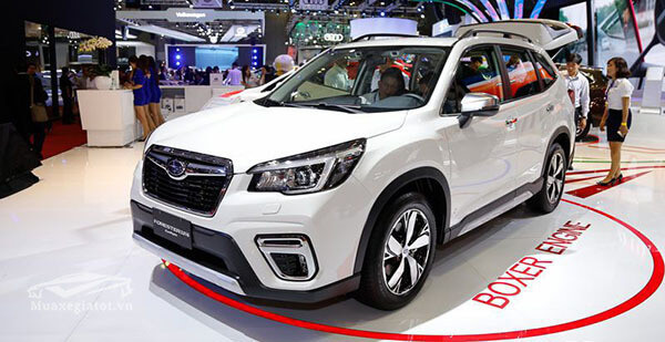 Phân vân không biết nên mua xe Subaru Forester hay Mazda CX-5?