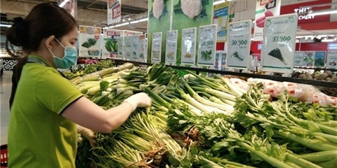 Ministry to scrutinise VietGap certifications after fake labels found on vegetables