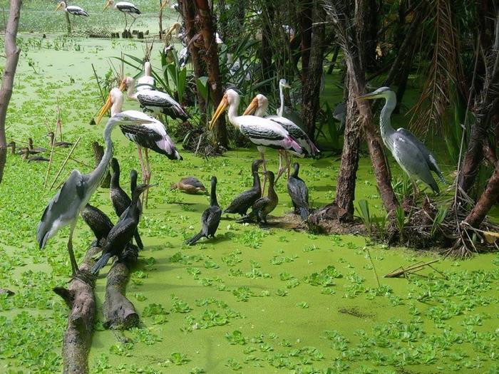 Cà Mau: Hình thành những khu du lịch quy mô để thúc đẩy phát triển