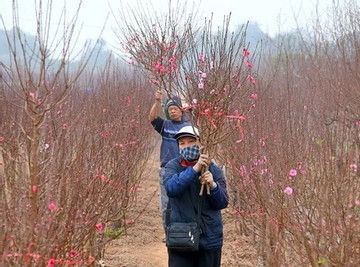 Chốt trình phương án nghỉ 7 ngày dịp Tết Nguyên đán 2023