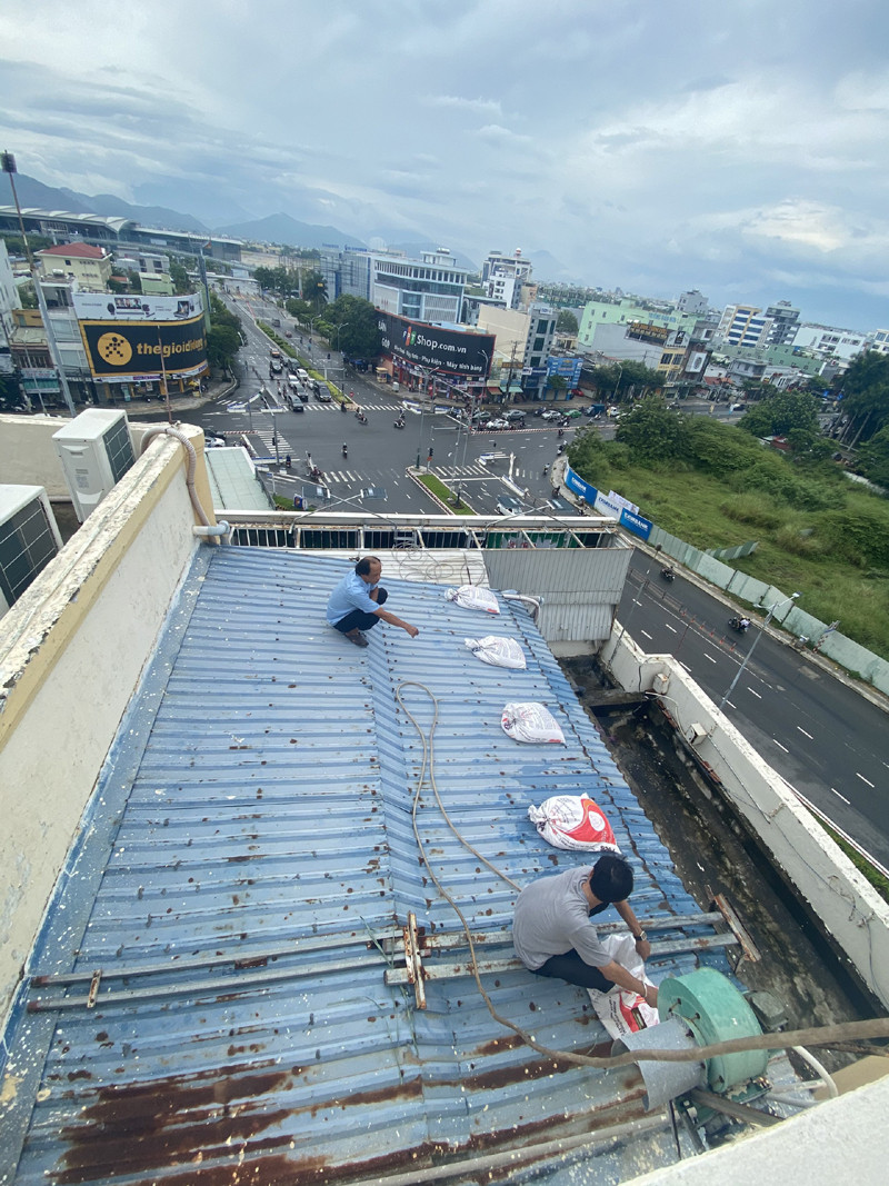 Hội Nông dân thị trấn Tân Bình (huyện Bắc Tân Uyên): Tập huấn kỹ thuật trồng nấm cho hội viên