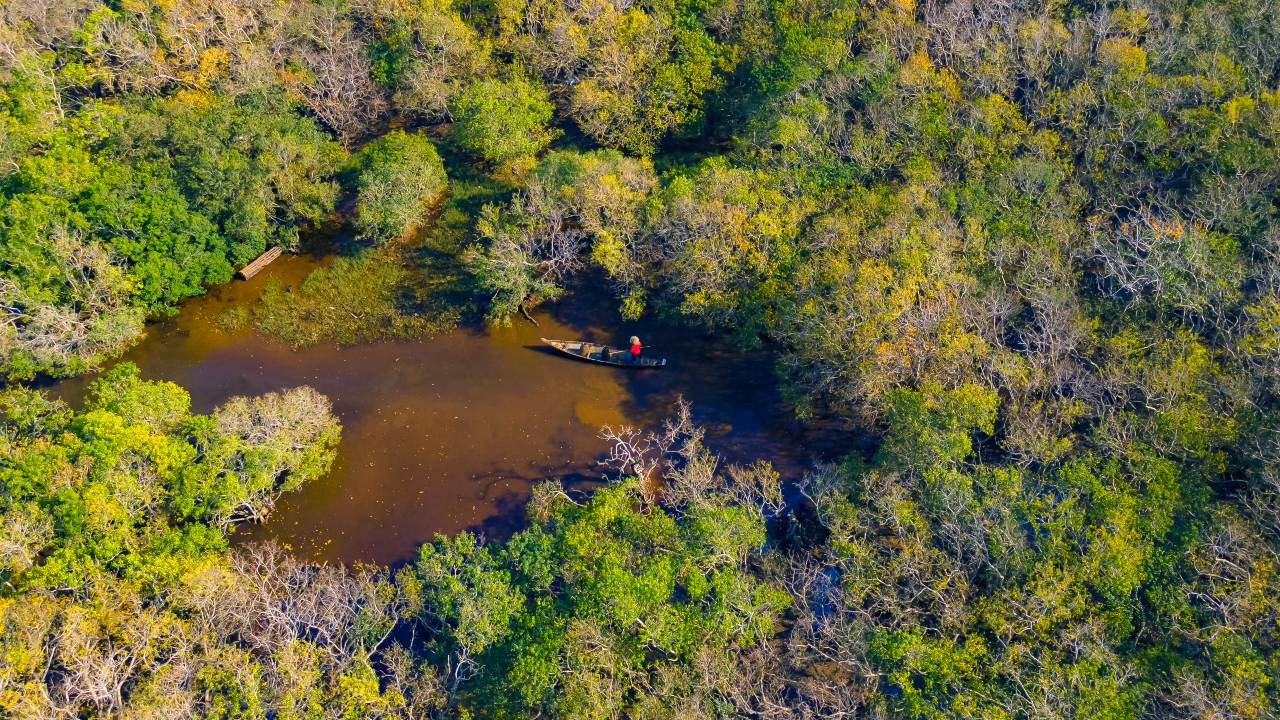 As pristine as Ru Cha mangrove forest