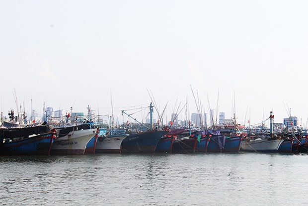 Typhoon Noru to affect Vietnam’s mainland on late September 27 hinh anh 2