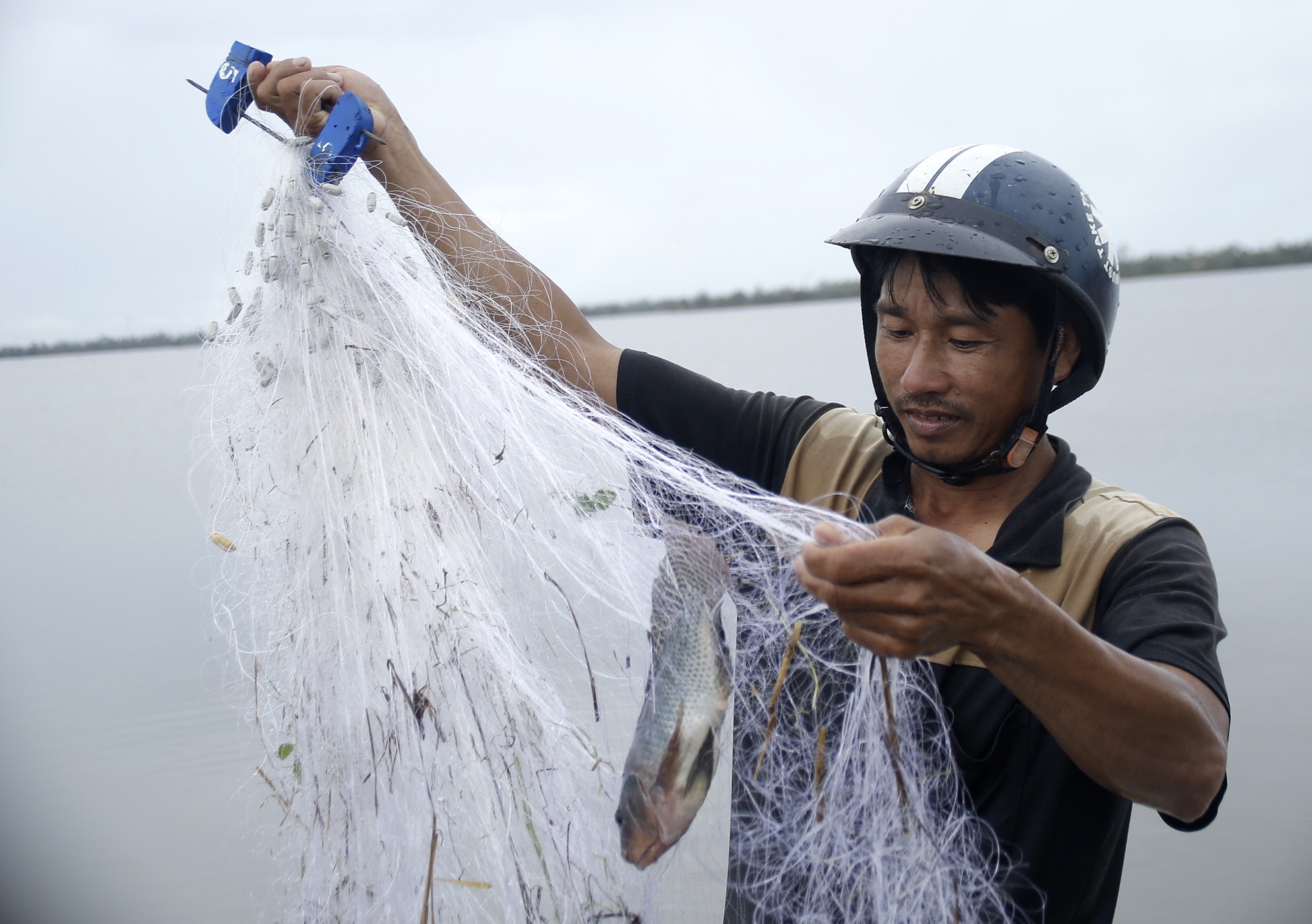 Người dân ‘bắt lộc’ sau bão Noru