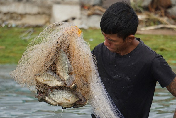 Dân Đà Nẵng bắt cá nước ngọt bên bờ biển sau bão Noru