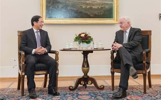 Foreign Minister Bui Thanh Son pays visit to Germany hinh anh 2