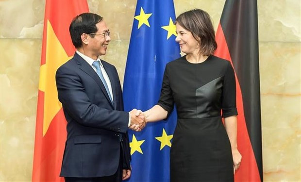 Foreign Minister Bui Thanh Son pays visit to Germany hinh anh 1