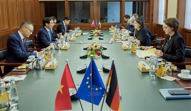 Foreign Minister Bui Thanh Son pays visit to Germany hinh anh 3