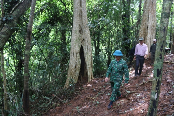 Bảo vệ những báu vật hàng trăm tuổi ở Đắk Nông