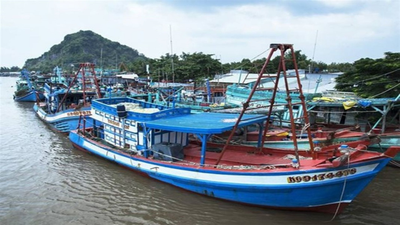 Vietnam cracks down on IUU fishing ahead of EC inspectors’ visit