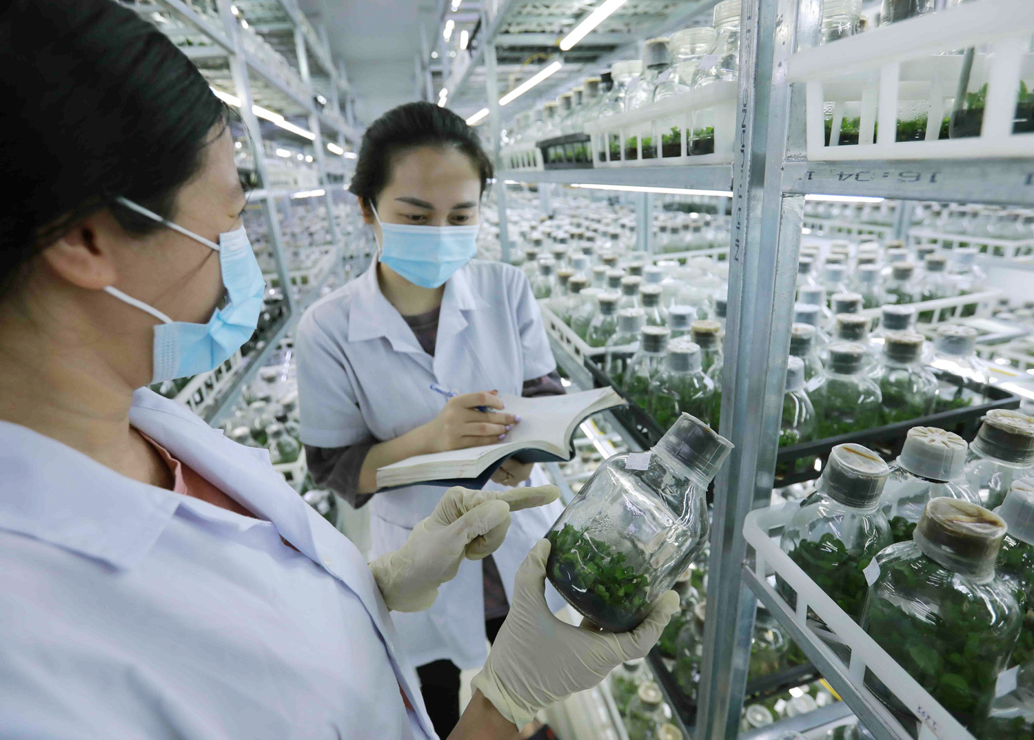Đầu tư đúng tầm cho nghiên cứu cơ bản - Nhân tố nền tảng tạo đột phá phát triển KHCN