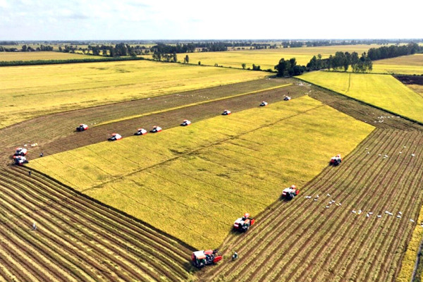 Ứng dụng công nghệ cao, đồng lúa Long An ‘khoác áo mới’