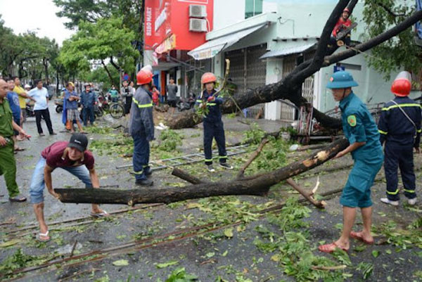 Typhoon Noru causes property losses to central Vietnam