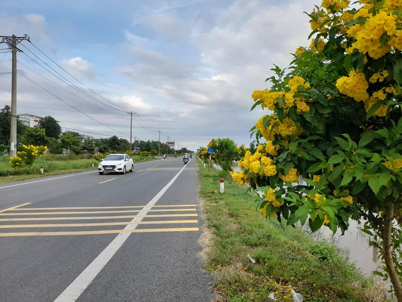 Hậu Giang: Quốc lộ 61C (giai đoạn 2) sẽ có 4 làn xe cơ giới