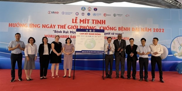 Joints efforts to help Vietnam to eliminate dog-transmitted rabies deaths by 2030 hinh anh 1