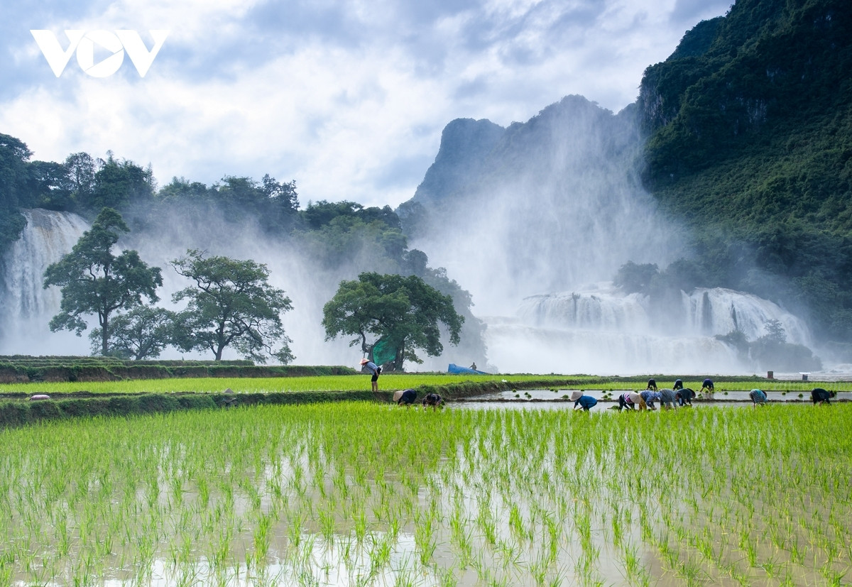 discovering southeast asia s largest waterfall in vietnam picture 6