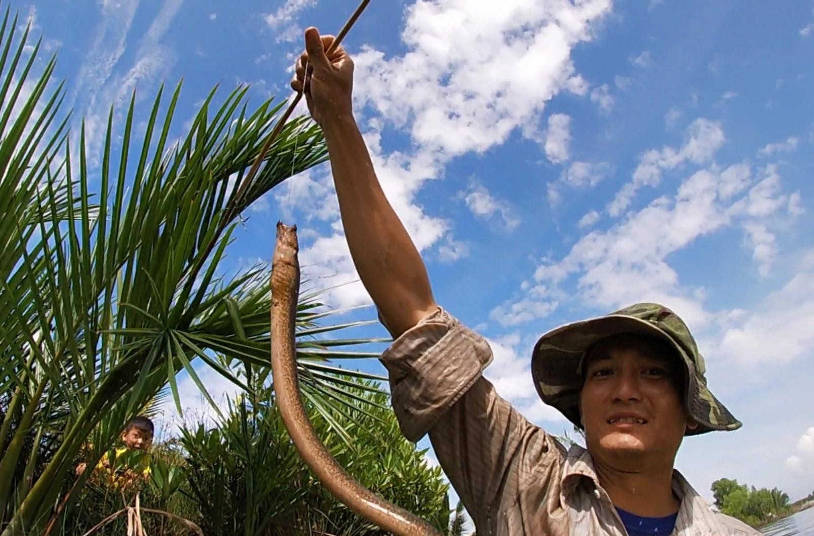 Độc đáo nghề cắm câu lịch ở Cà Mau ảnh 5