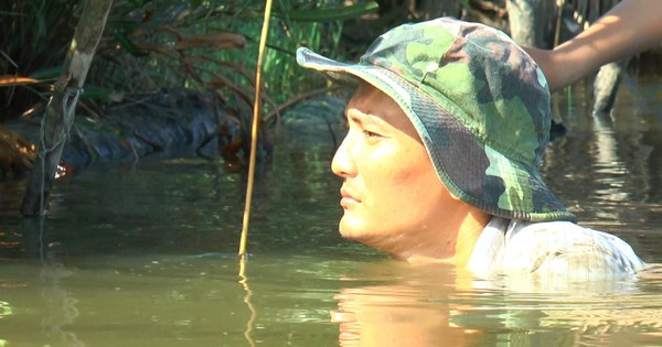 Độc đáo nghề cắm câu lịch ở Cà Mau