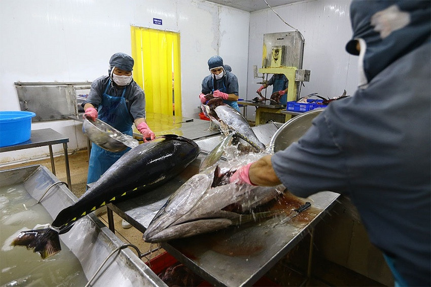 Lift to credit ceiling urged to aid business