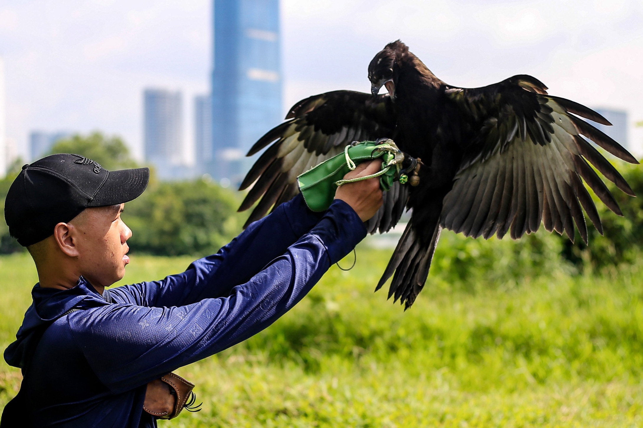 Raptor training available in Hanoi