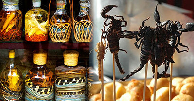 Snake wine, scorpions: a  experience not to be missed