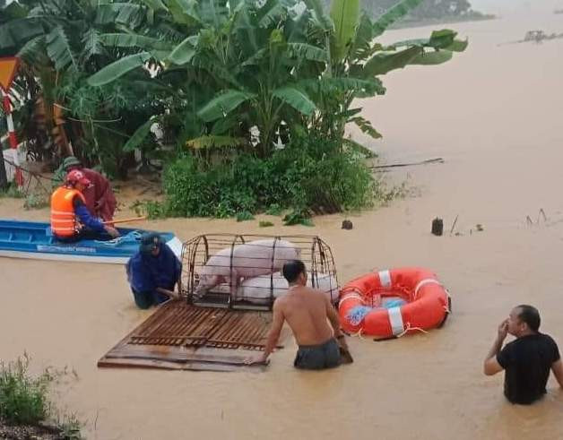 Rốn lũ Thanh Chương, nơi hàng trăm nhà dân vẫn bị nước bủa vây