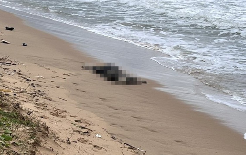 At least six bodies found drifting off Phu Quoc seaside ảnh 1