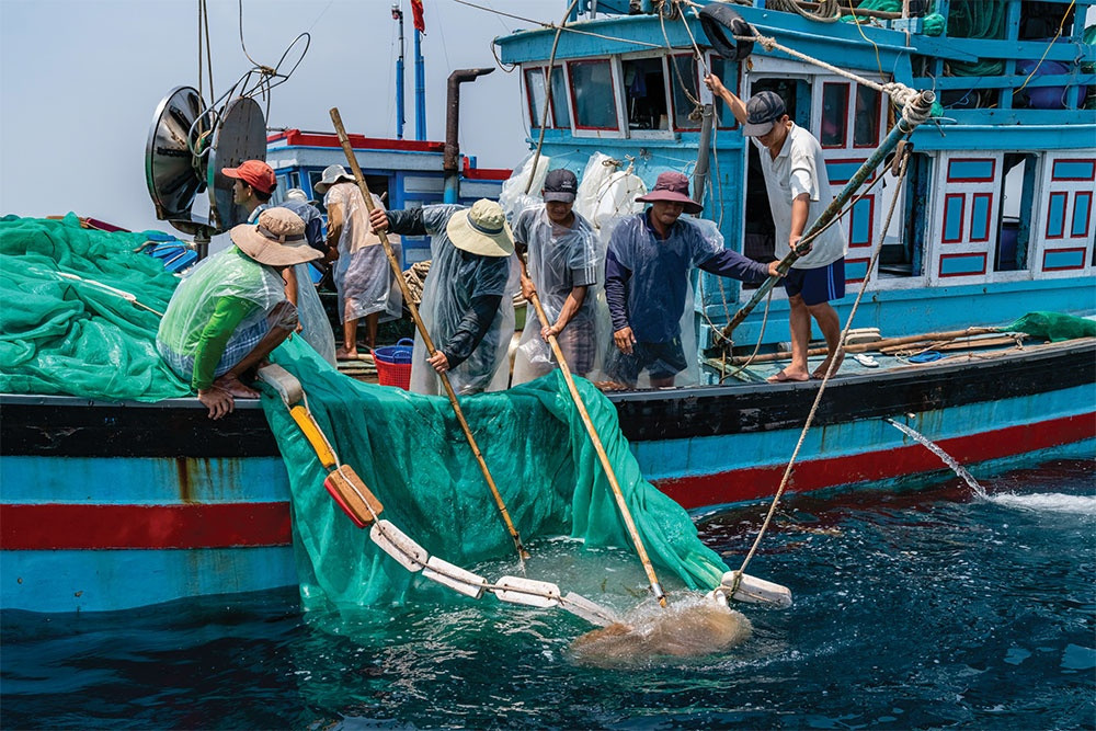 EVFTA advantages threatened by tough competition