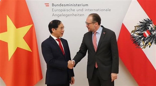 Foreign Minister Bui Thanh Son pays official visit to Austria hinh anh 1