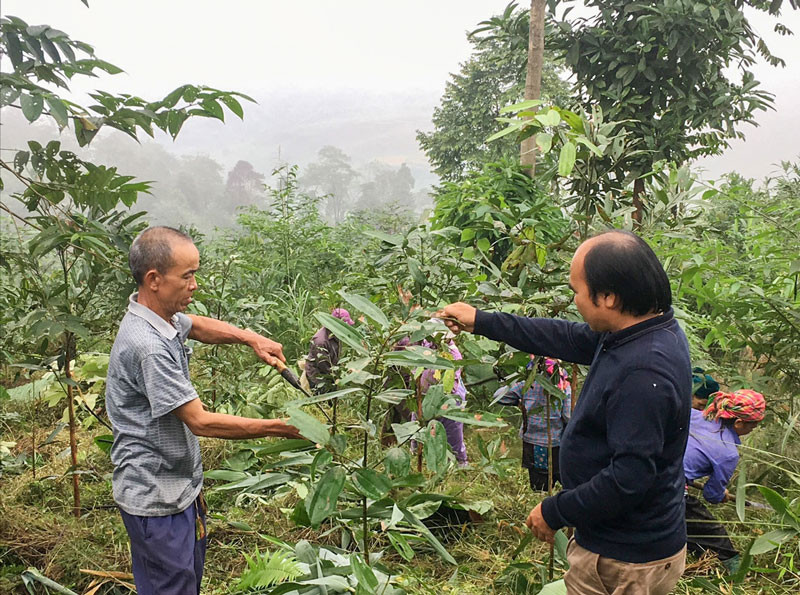 Bệ phóng đưa nông sản Lào Cai ‘cất cánh’