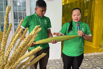 Young Khmer-Vietnamese woman earns high profits from flower 