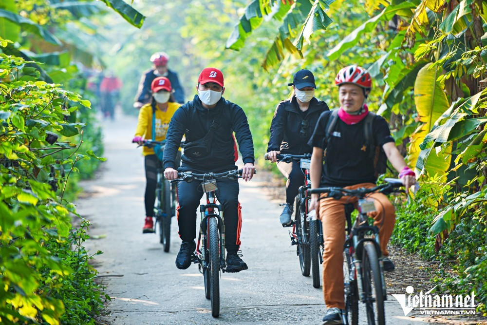 Du khách chi tiền triệu đạp xe ngắm vườn chuối, ruộng rau giữa Hà Nội
